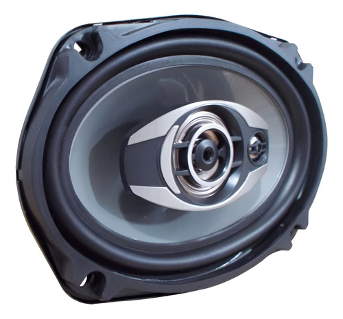 Parlantes Para Autos 6x9 1000w Strong St-6942 16x24 !